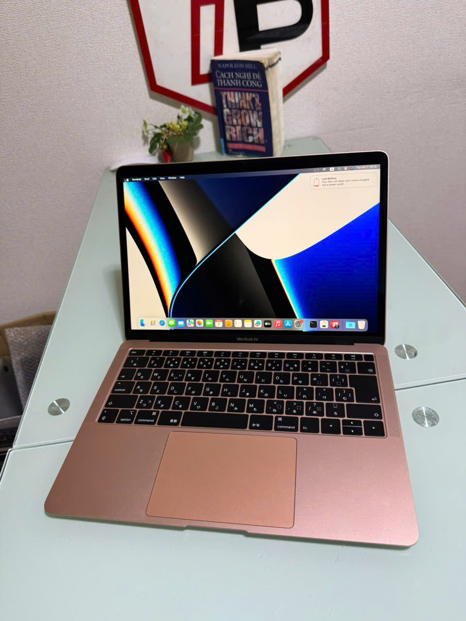 Macbook Air 2018 Gold / Core i5 / RAM 8GB / SSD 256GB / 13.3